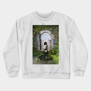 Abandoned Ablutions Fountain Crewneck Sweatshirt